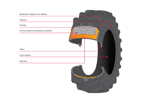 2503 LBB 437 Radiale band beschrijving ES